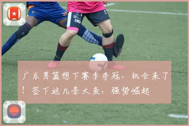 广东男篮想下赛季夺冠,机会来了!签下这几条大鱼,强势崛起