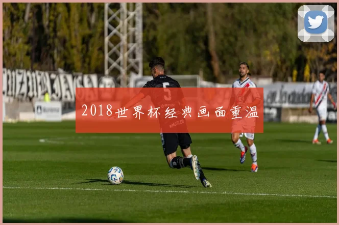 2018世界杯经典画面重温