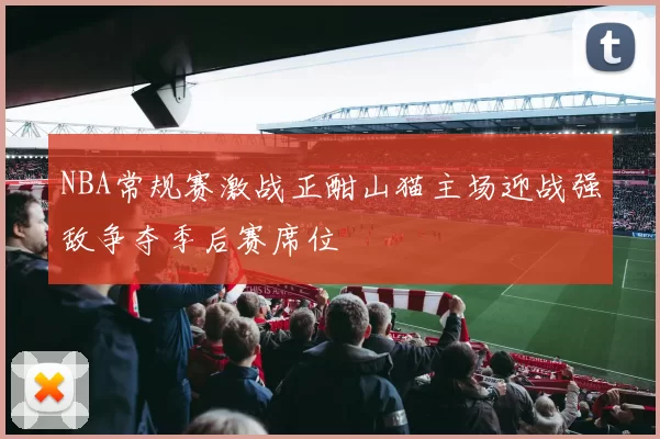 NBA常规赛激战正酣山猫主场迎战强敌争夺季后赛席位