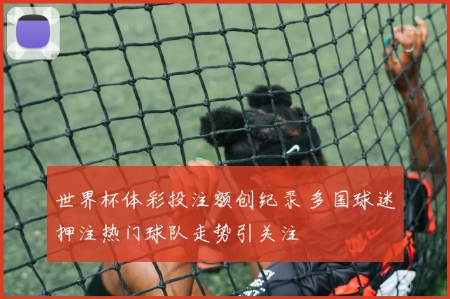 世界杯体彩投注额创纪录 多国球迷押注热门球队走势引关注