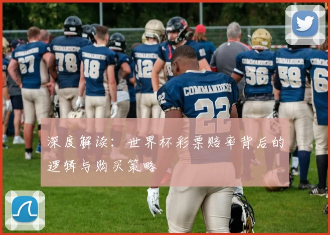 深度解读：世界杯彩票赔率背后的逻辑与购买策略