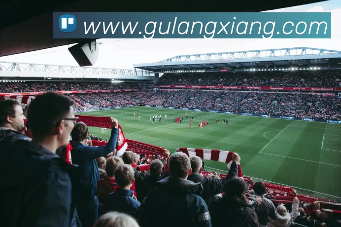 星空网页版官方入口发展历程